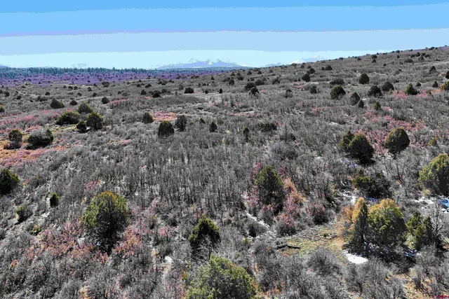 $189,000 | North Gurley Reserve, Norwood, CO 81423