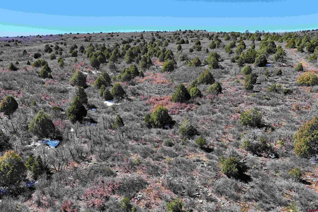 $189,000 | North Gurley Reserve, Norwood, CO 81423