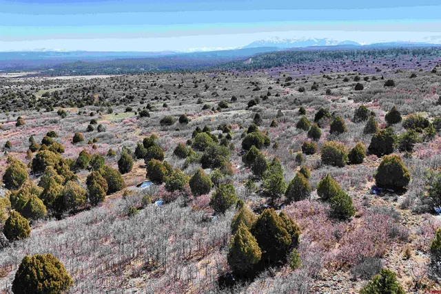 $189,000 | North Gurley Reserve, Norwood, CO 81423