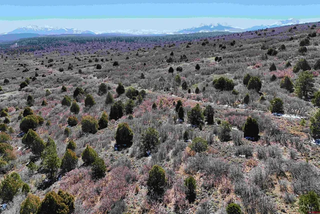 $189,000 | North Gurley Reserve, Norwood, CO 81423