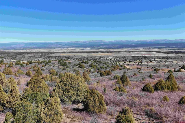 $189,000 | North Gurley Reserve, Norwood, CO 81423