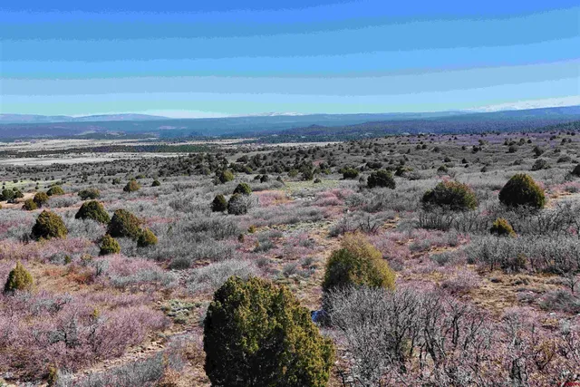 $189,000 | North Gurley Reserve, Norwood, CO 81423