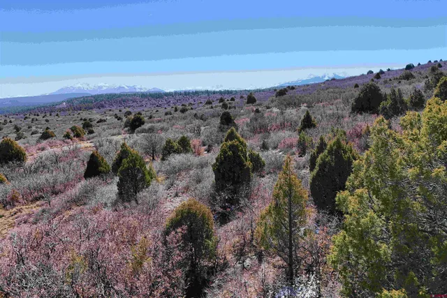 $189,000 | North Gurley Reserve, Norwood, CO 81423