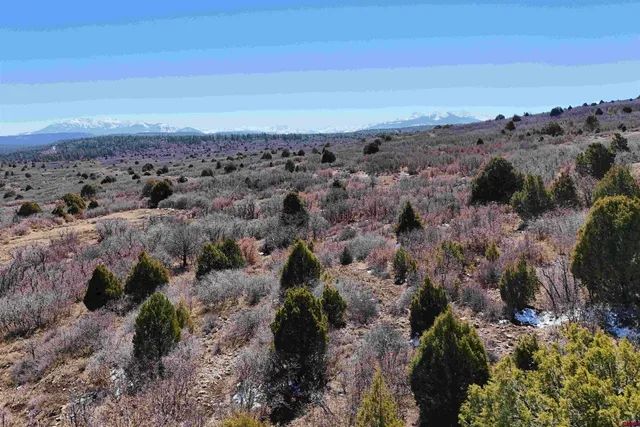 $189,000 | North Gurley Reserve, Norwood, CO 81423