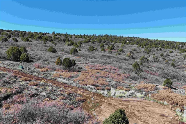 $189,000 | North Gurley Reserve, Norwood, CO 81423