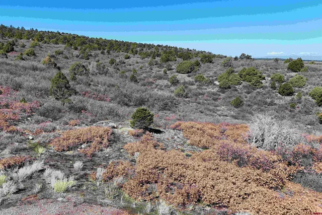 $189,000 | North Gurley Reserve, Norwood, CO 81423