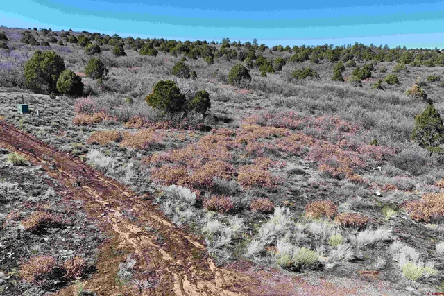 $189,000 | North Gurley Reserve, Norwood, CO 81423