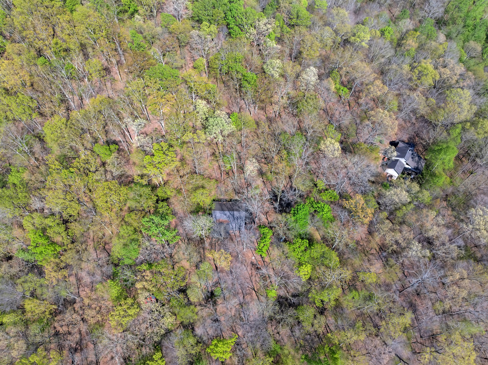 551 Shippmans Creek Road Wartrace, TN 37183 - Photo 57 of 75 a backyard of a house with lots of plants and trees