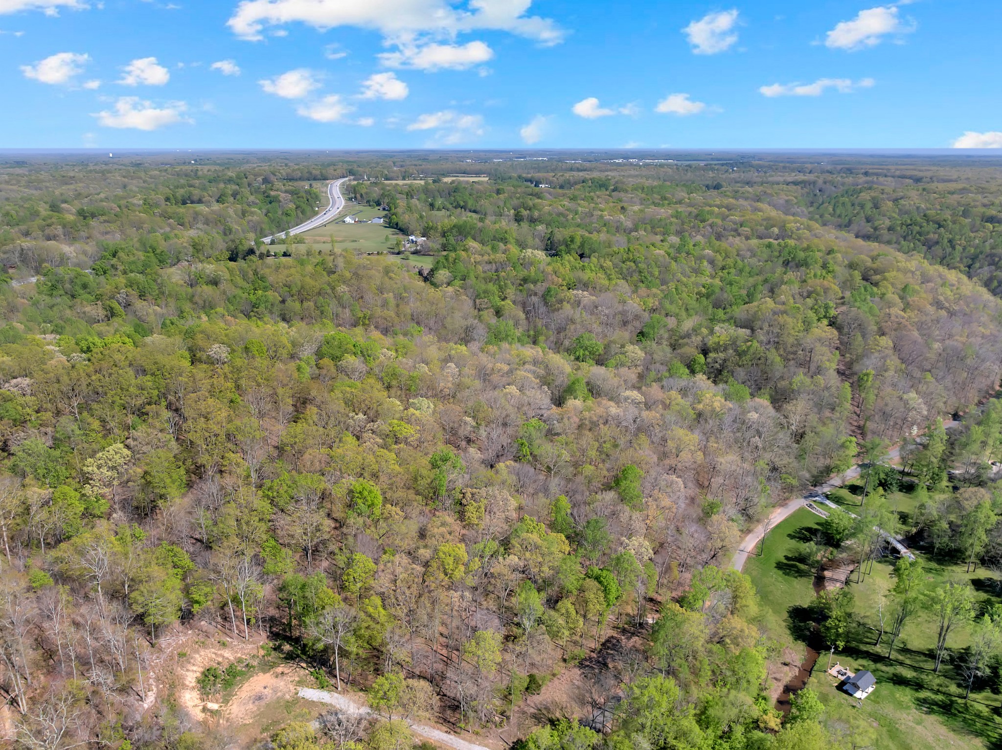 551 Shippmans Creek Road Wartrace, TN 37183 - Photo 59 of 75 a view of a lush green forest with a mountain in the background