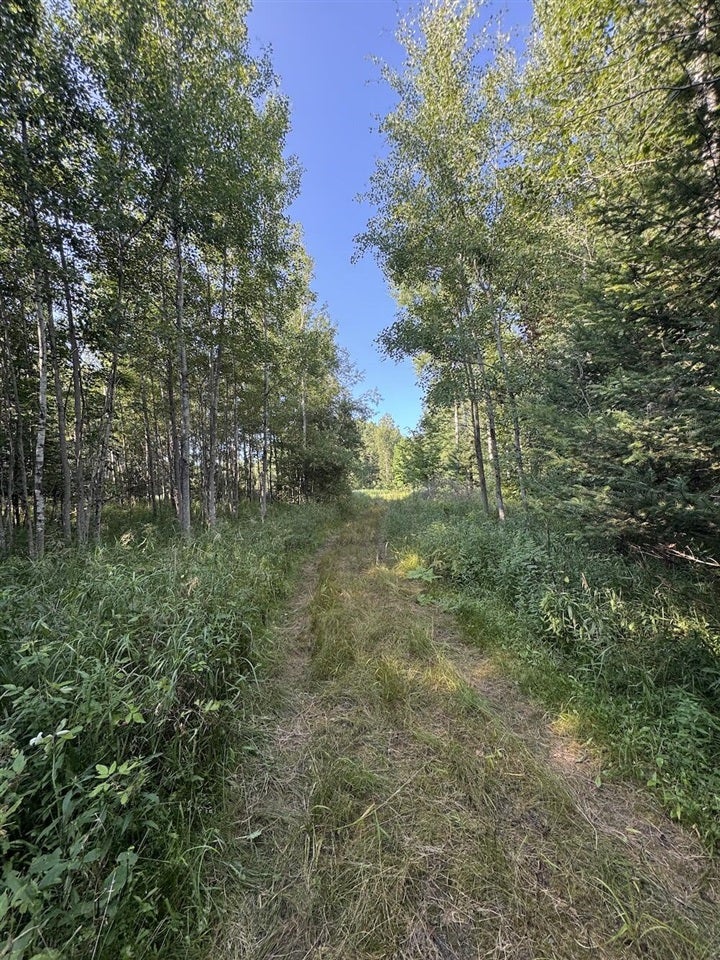 East Procunier Road Harrisville, MI 48740 - Photo 50 of 78 Gallery Image 50