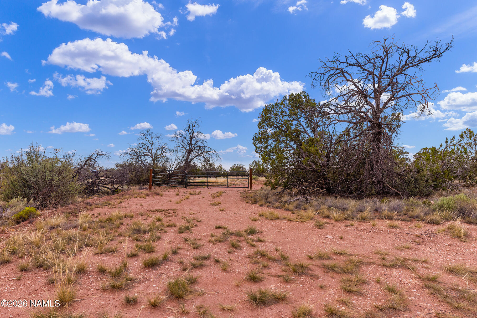 5716 North Alta Villa Road, Unit LOT A Williams, AZ 86046 - Photo 30 of 33 IMG_6059