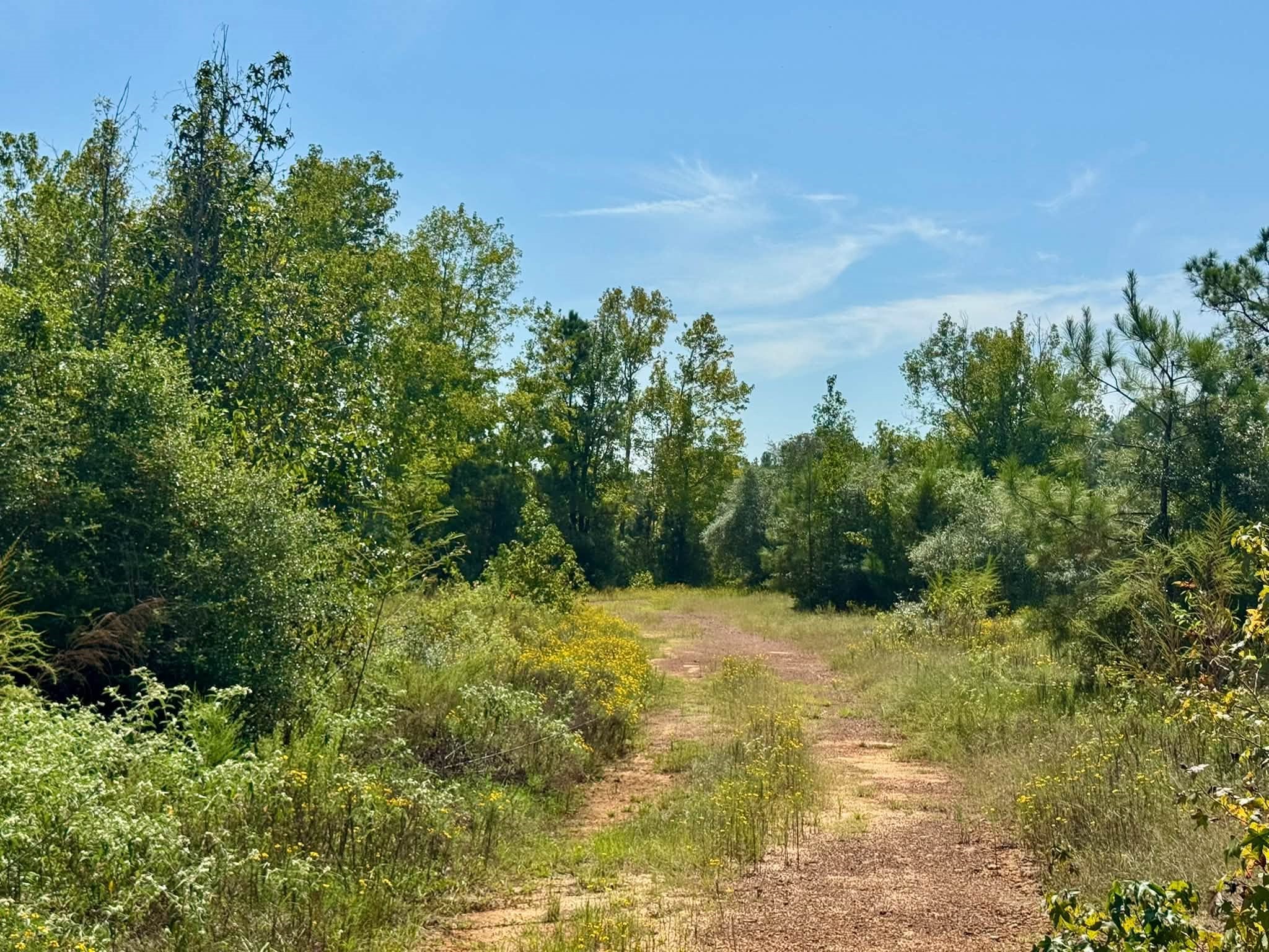 3 Private Road Hillister, TX 77624 - Photo 9 of 11 Gallery Image 9
