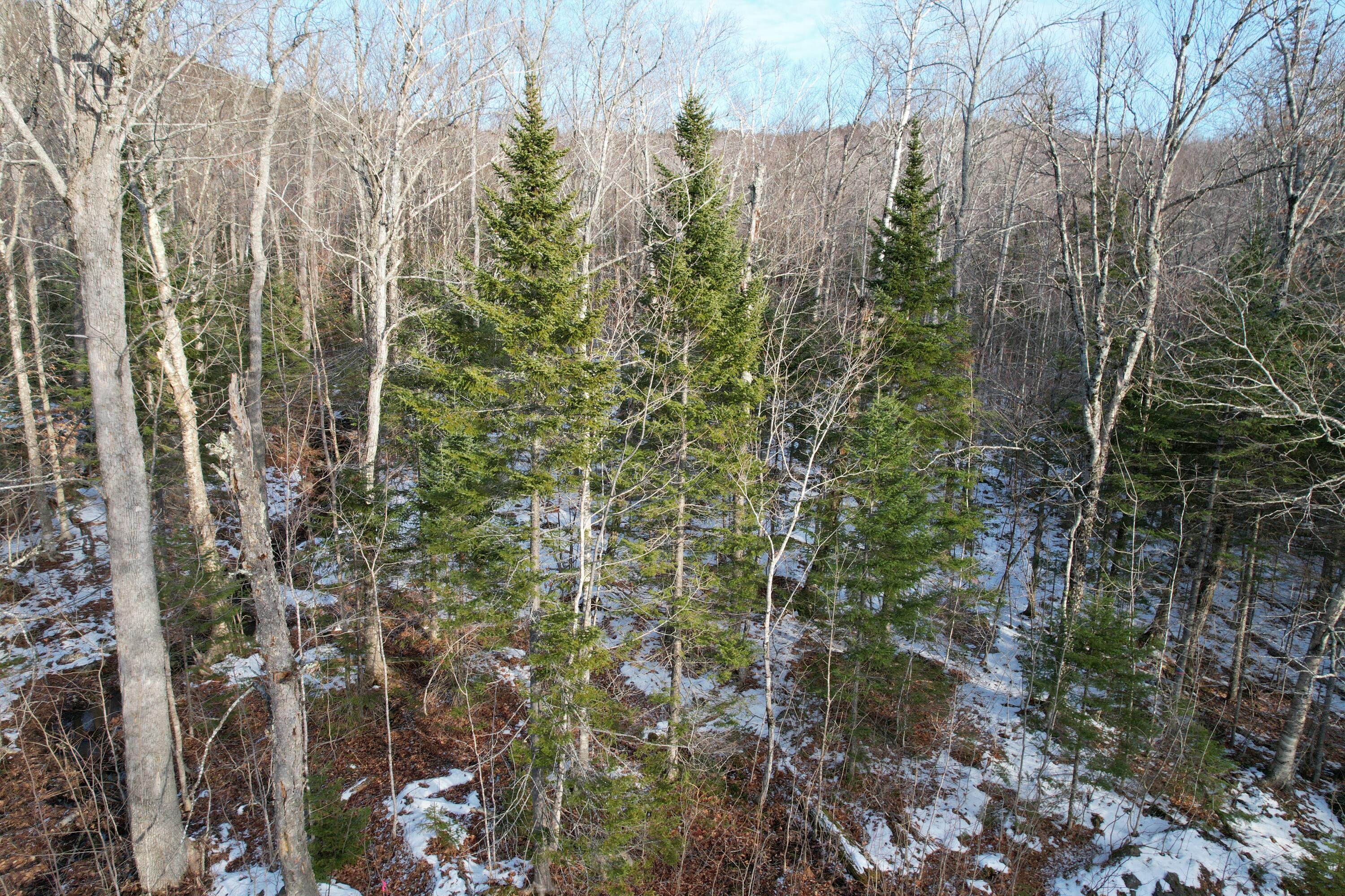 2037 Ridgeview Road Kingfield, ME 04947 - Photo 11 of 21 DJI_0795