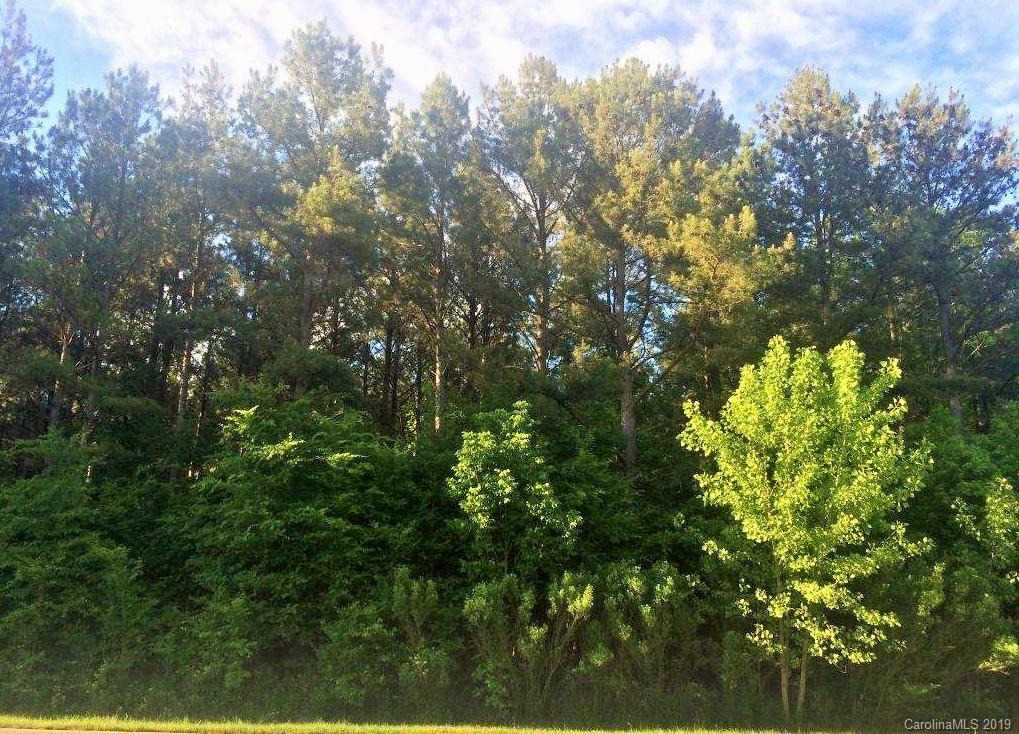 0 Crow Road, Unit 7 Monroe, NC 28112 - Photo 5 of 6 Gallery Image 5