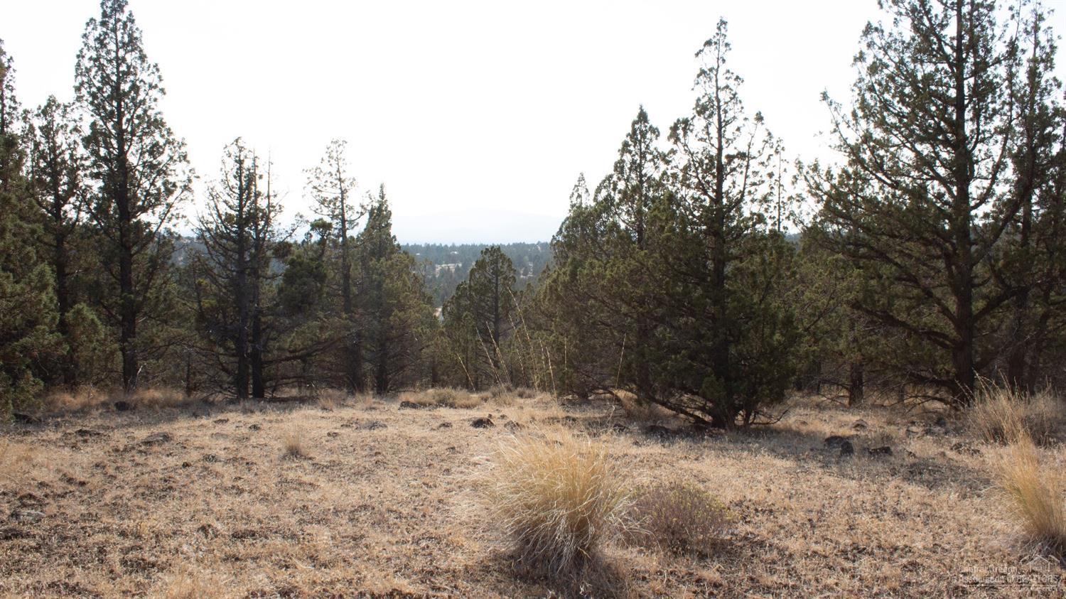 0 Southeast Grant Road Prineville, OR 97754 - Photo 3 of 9 Additional Photo