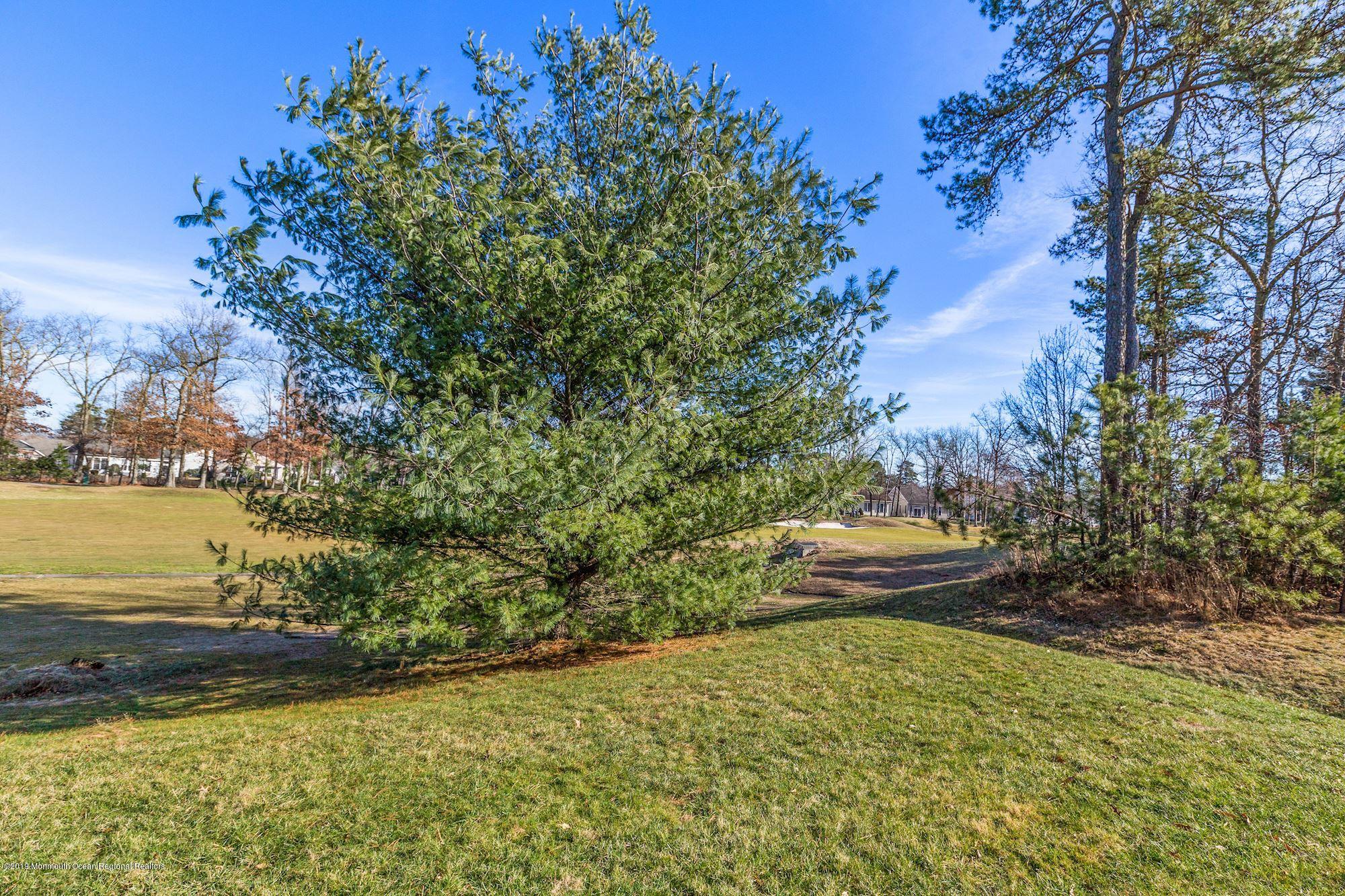 27 Barton Creek Road Jackson, NJ 08527 - Photo 44 of 45 View of Fairway