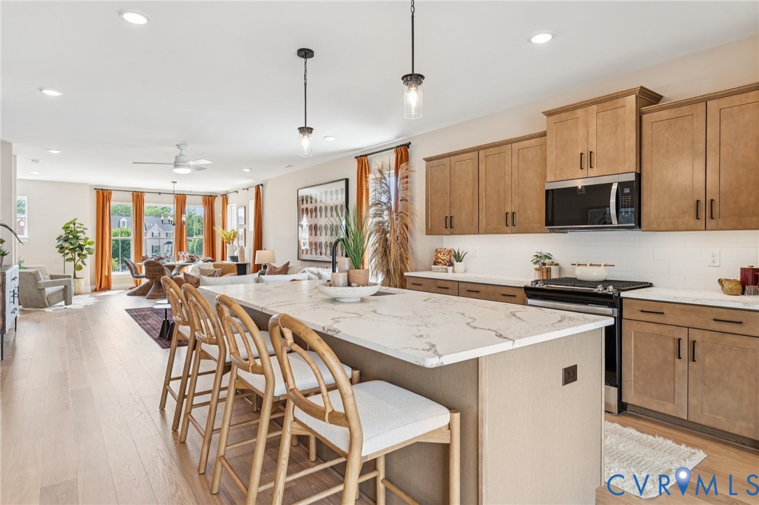 12027 Flowering Lavender Loop Henrico, VA 23233 - Photo 10 of 26