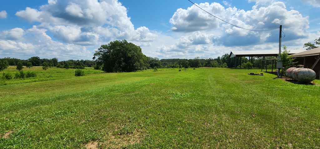 2120 County Line Road Dothan, AL 36305 - Photo 5 of 68