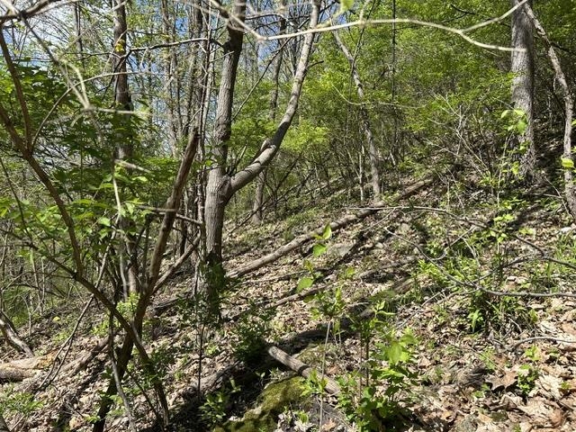 59498 Lakota Trail Road Eastman, WI 54626 - Photo 21 of 36