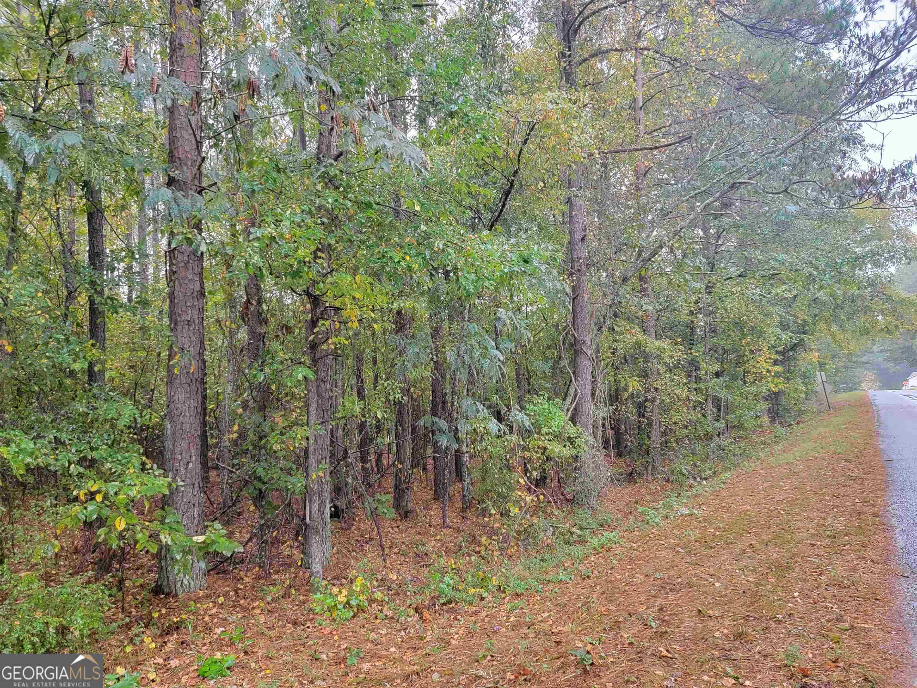 14-acres Lamars Mill Road Flovilla, GA 30216 - Photo 3 of 4
