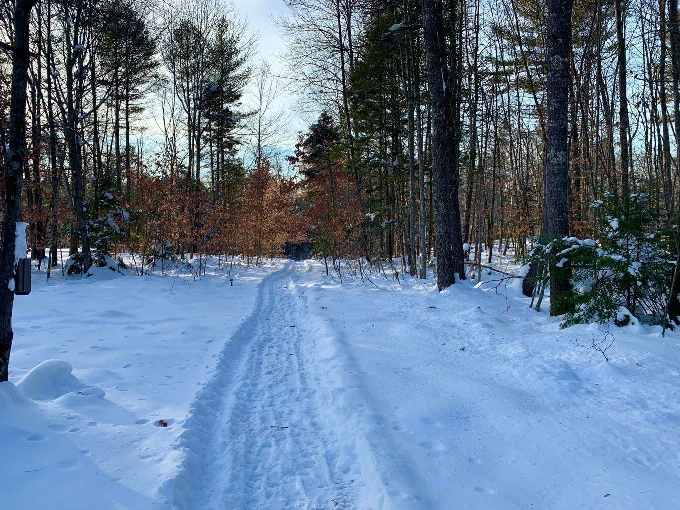 9 Cardinal Lane Windham, ME 04062 - Photo 10 of 59 20210105180444713492000000-o