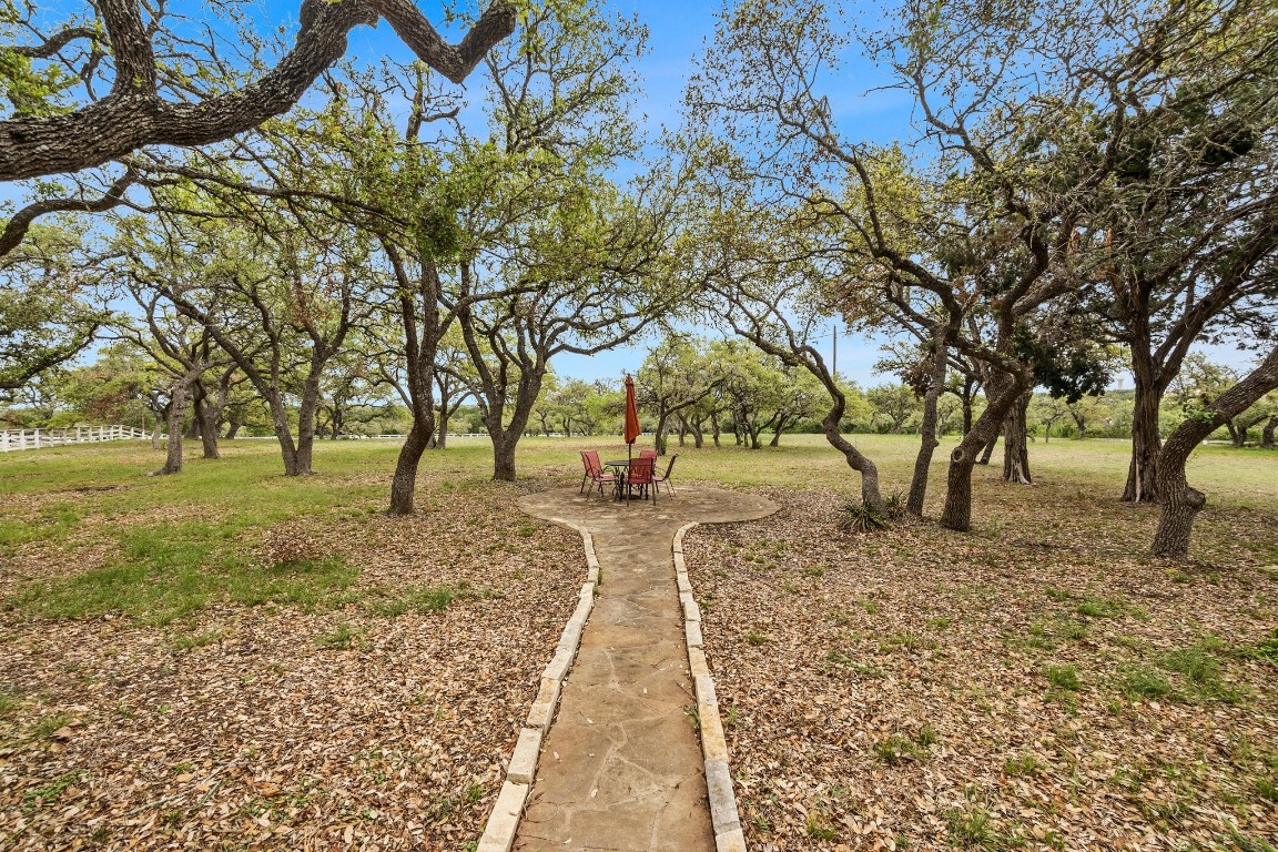 4000 Bell Springs Road Dripping Springs, TX 78620 - Photo 1 of 1 a view of yard with tree