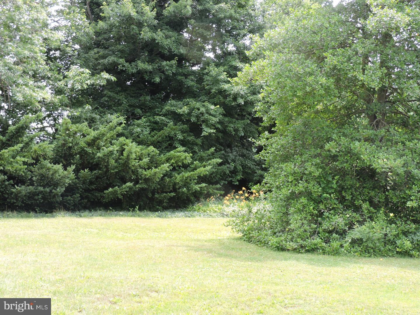 15 Nassau Road Lumberton, NJ 08048 - Photo 13 of 13 Side Yard