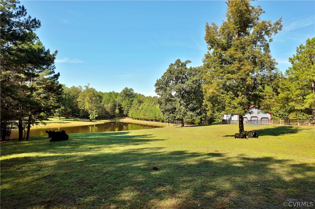 6400 Moseley Road Moseley, VA 23120 - Photo 44 of 47 a view of an ocean beach