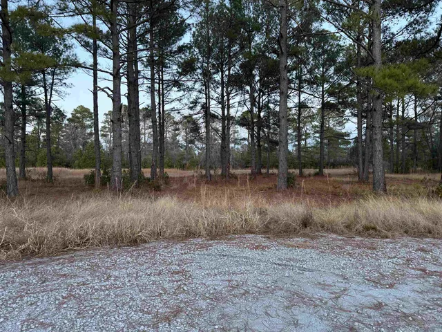 $150,000 | Tbd Belland Court, Loris, SC 29569