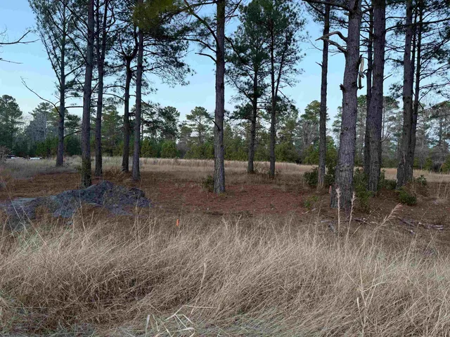 $150,000 | Tbd Belland Court, Loris, SC 29569