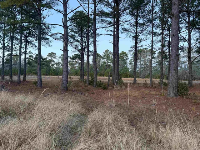 $150,000 | Tbd Belland Court, Loris, SC 29569