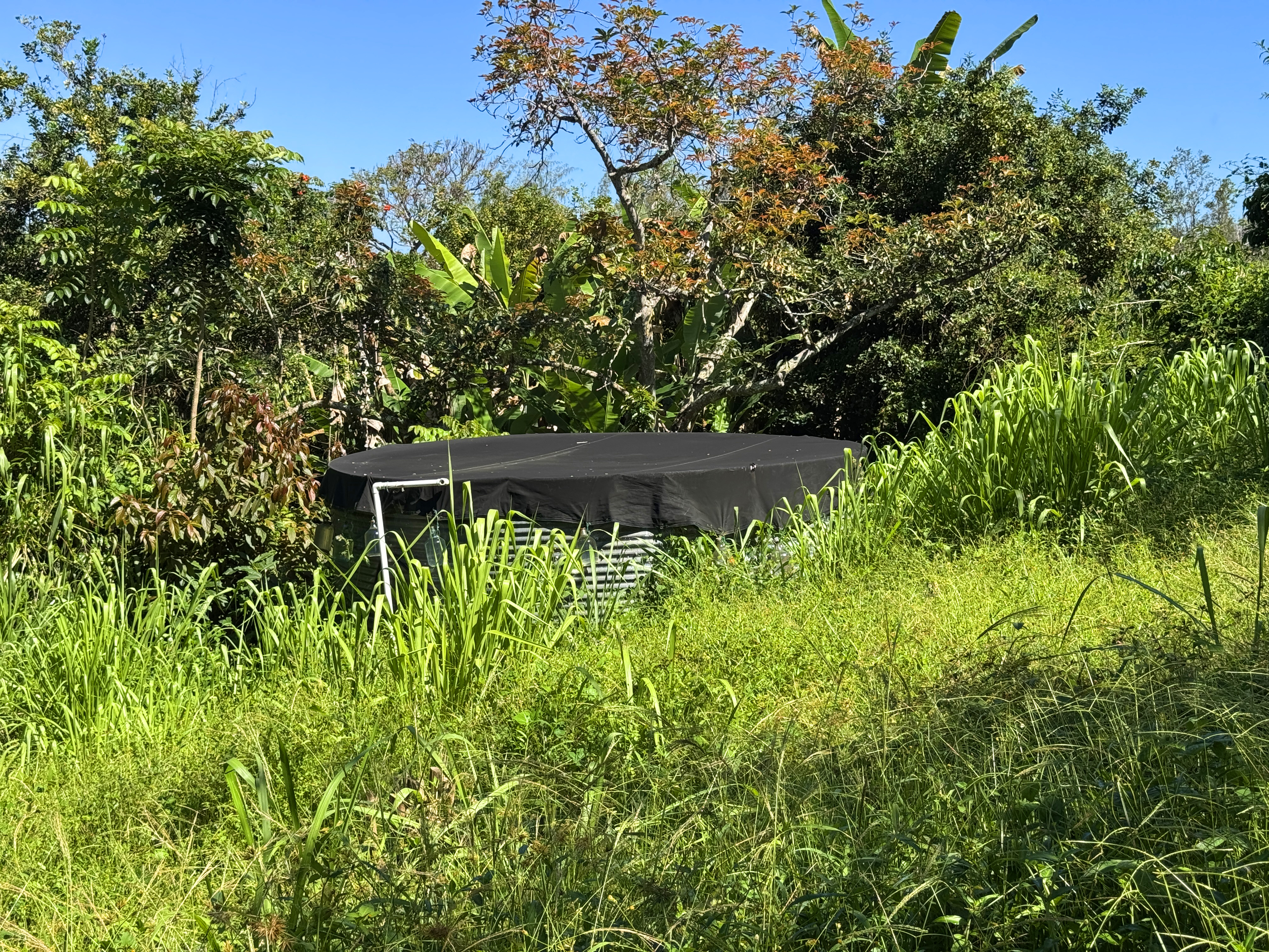 81-1081-c Captain Cook Road Captain Cook, HI 96704 - Photo 20 of 25 a view of house with large trees