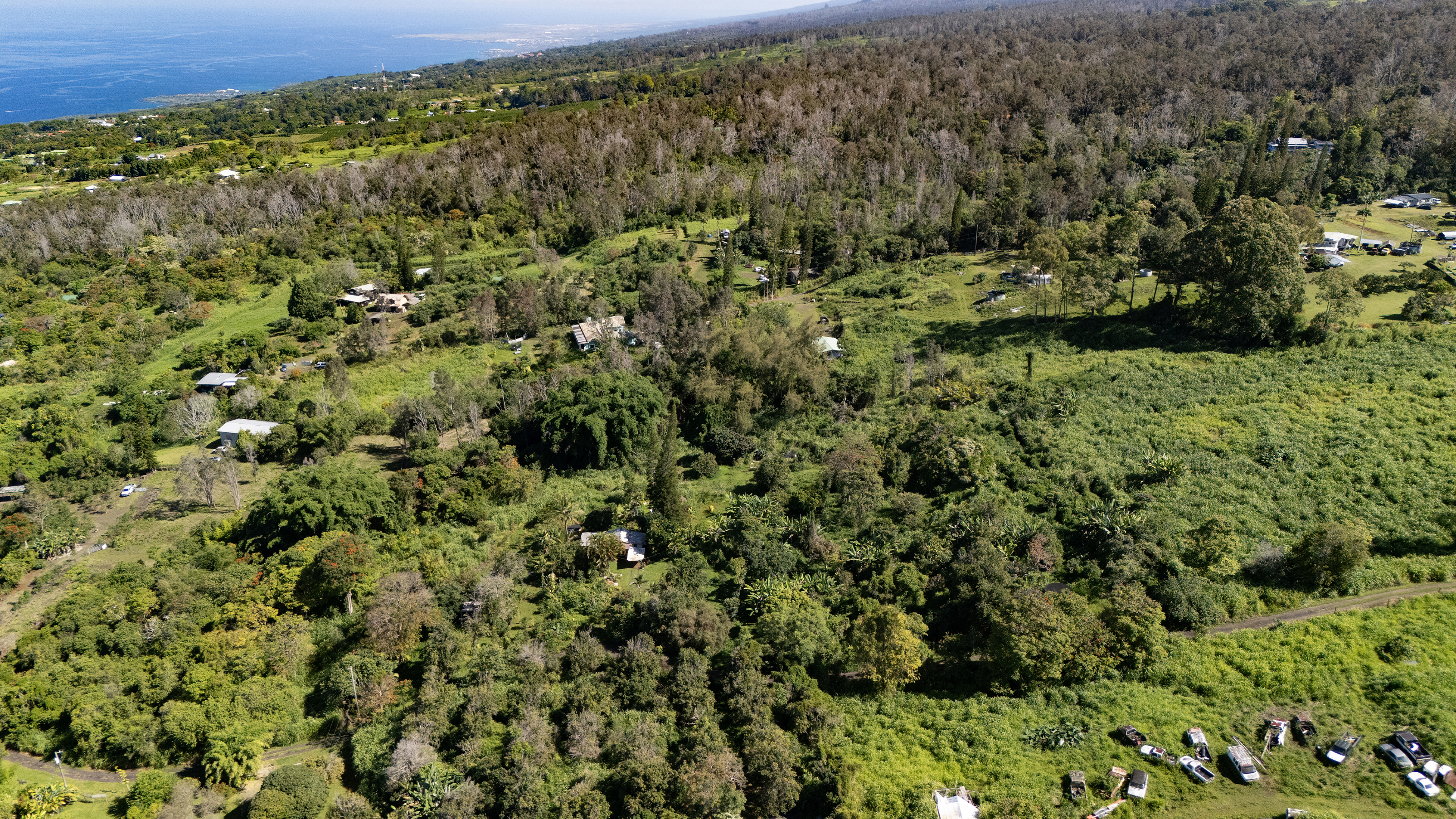 81-1081-c Captain Cook Road Captain Cook, HI 96704 - Photo 23 of 25 a view of a lush green forest with lots of trees