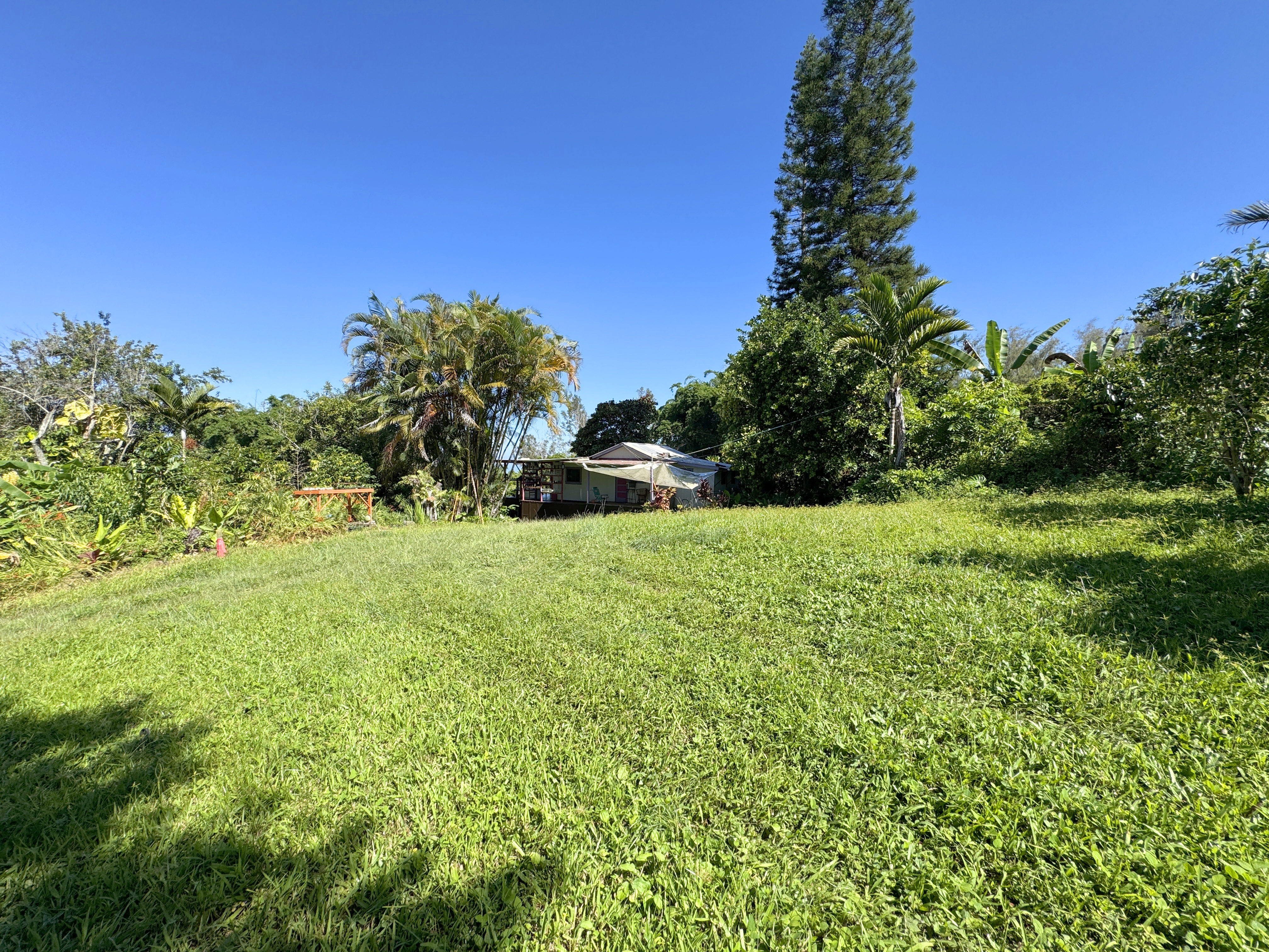 81-1081-c Captain Cook Road Captain Cook, HI 96704 - Photo 5 of 25 a view of a garden