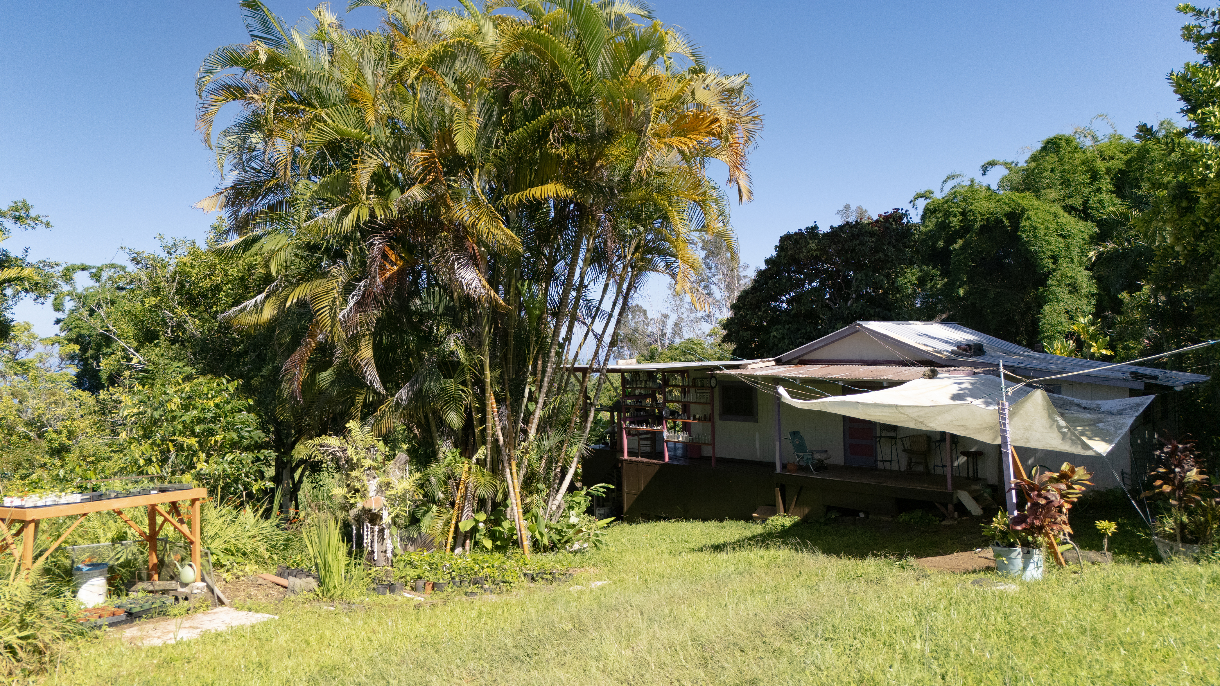 81-1081-c Captain Cook Road Captain Cook, HI 96704 - Photo 6 of 25 a view of outdoor space yard and patio