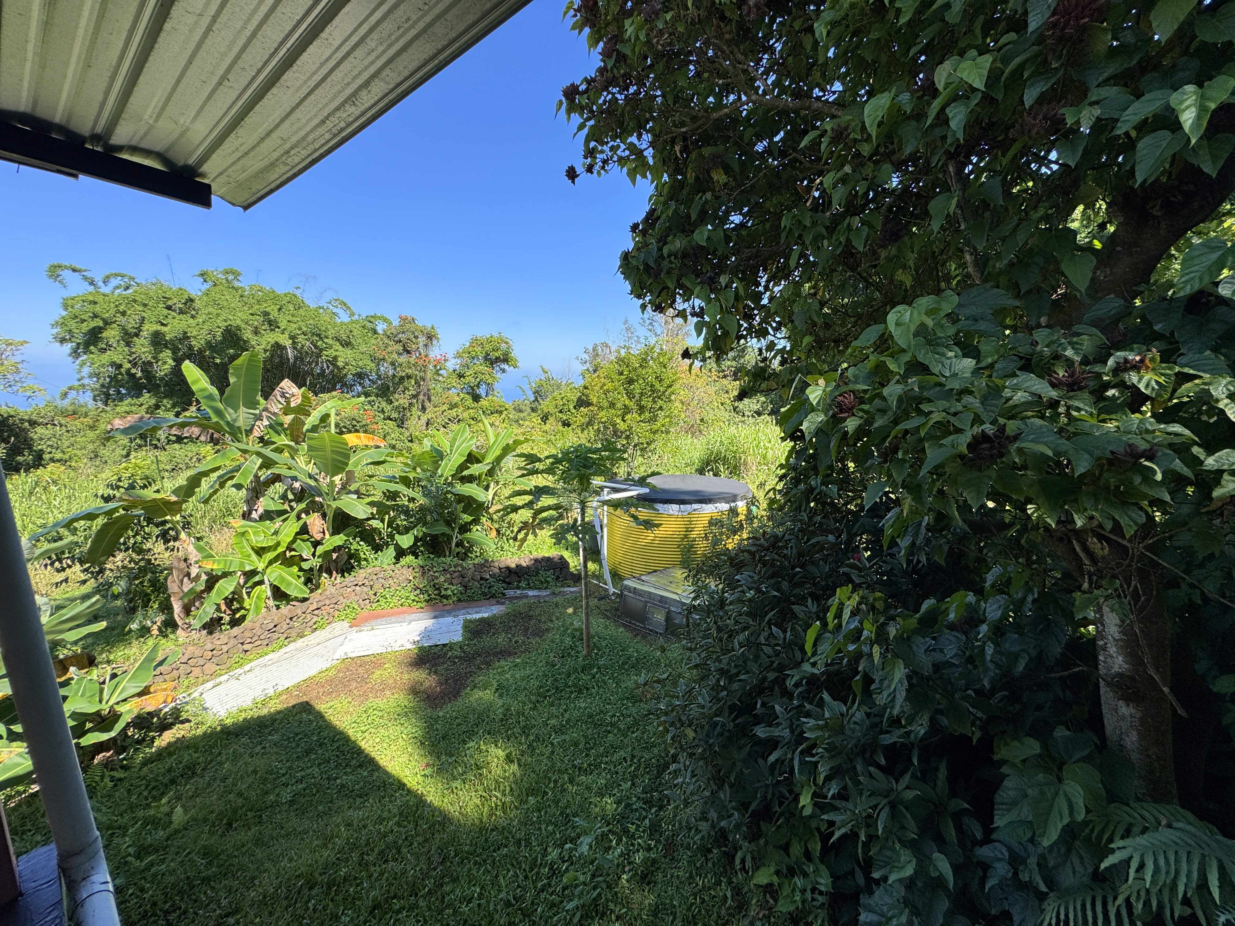 81-1081-c Captain Cook Road Captain Cook, HI 96704 - Photo 10 of 25 a backyard of a house with lots of green space