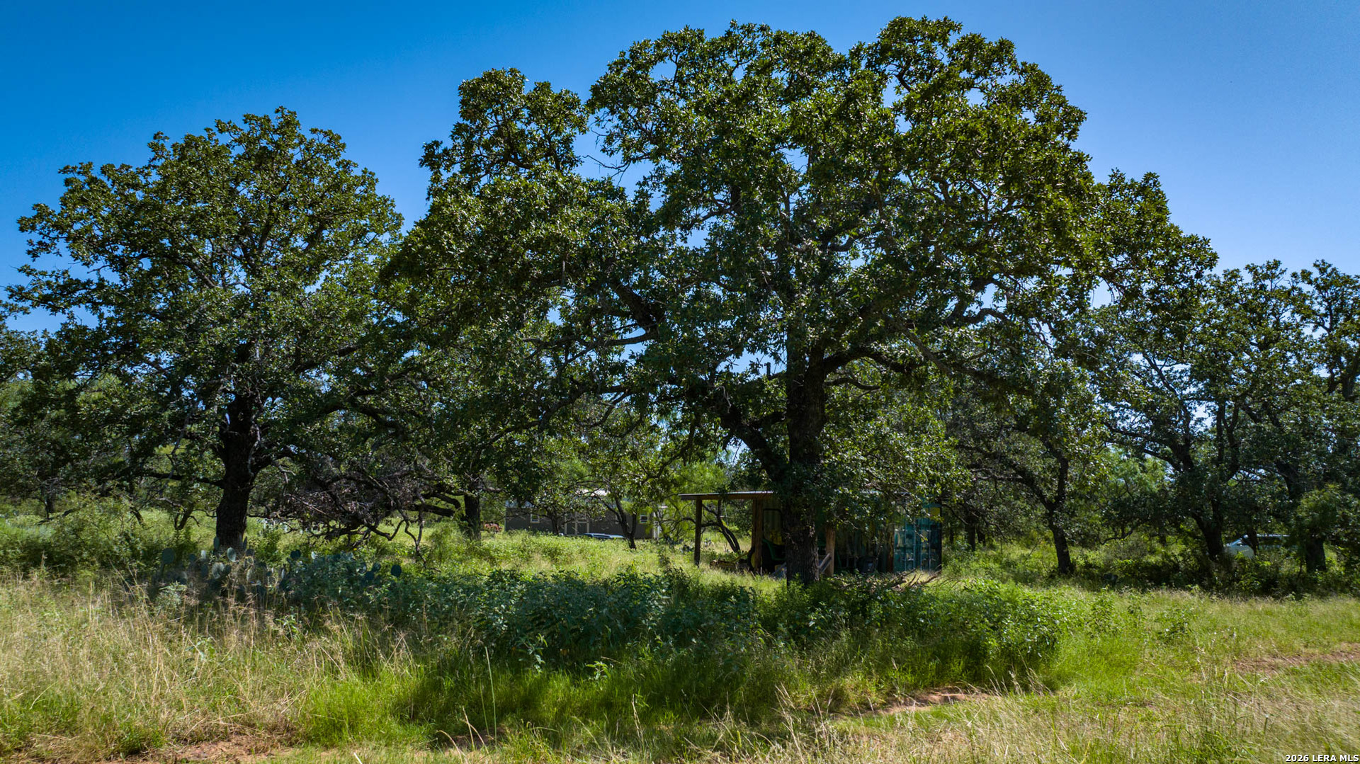9978 Hay Spring Road Fredonia, TX 76842 - Photo 12 of 50