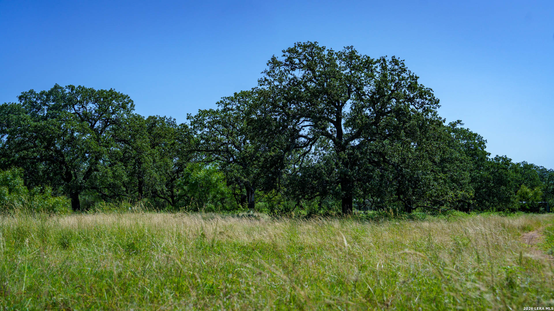 9978 Hay Spring Road Fredonia, TX 76842 - Photo 15 of 50