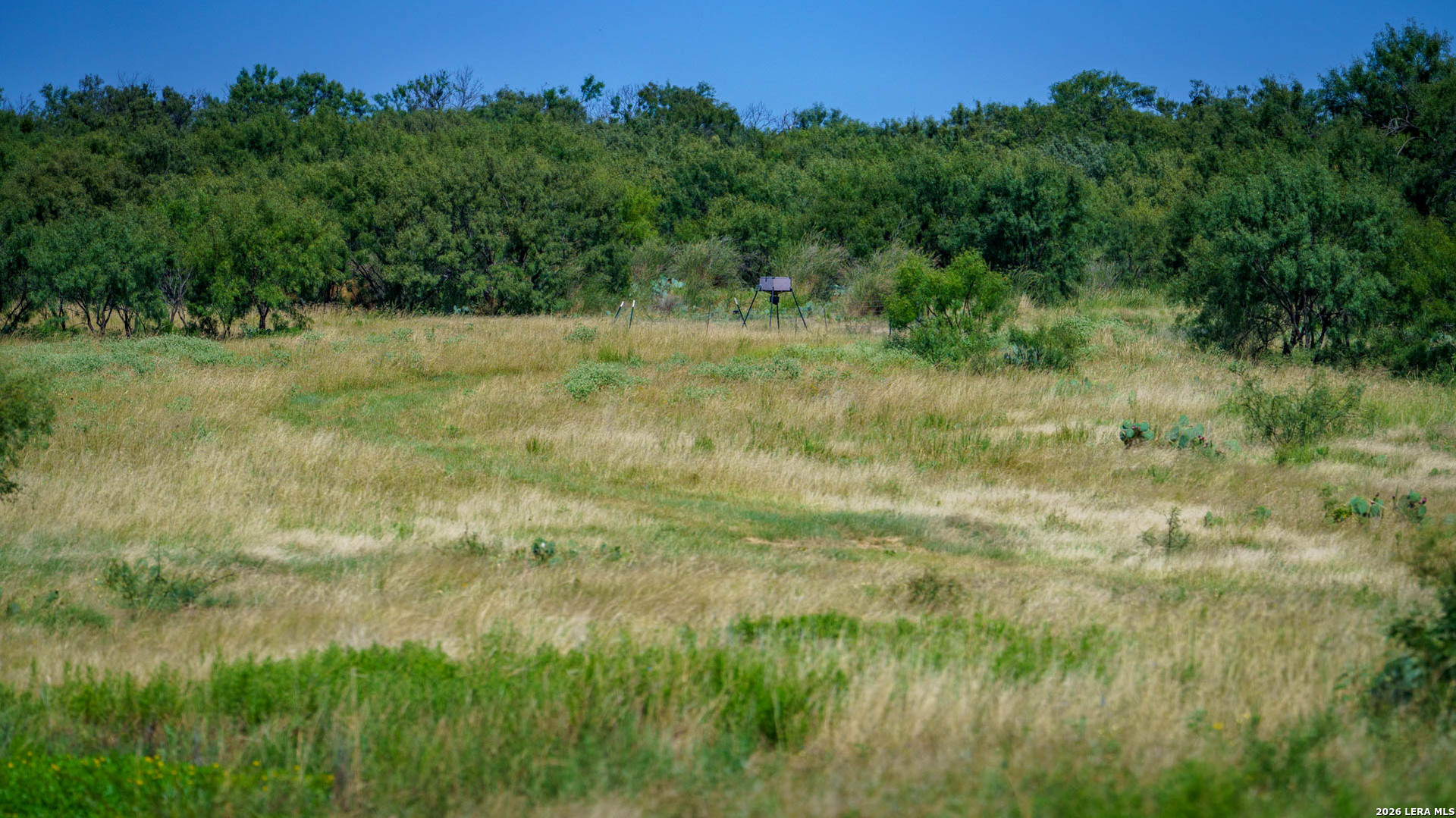 9978 Hay Spring Road Fredonia, TX 76842 - Photo 22 of 50