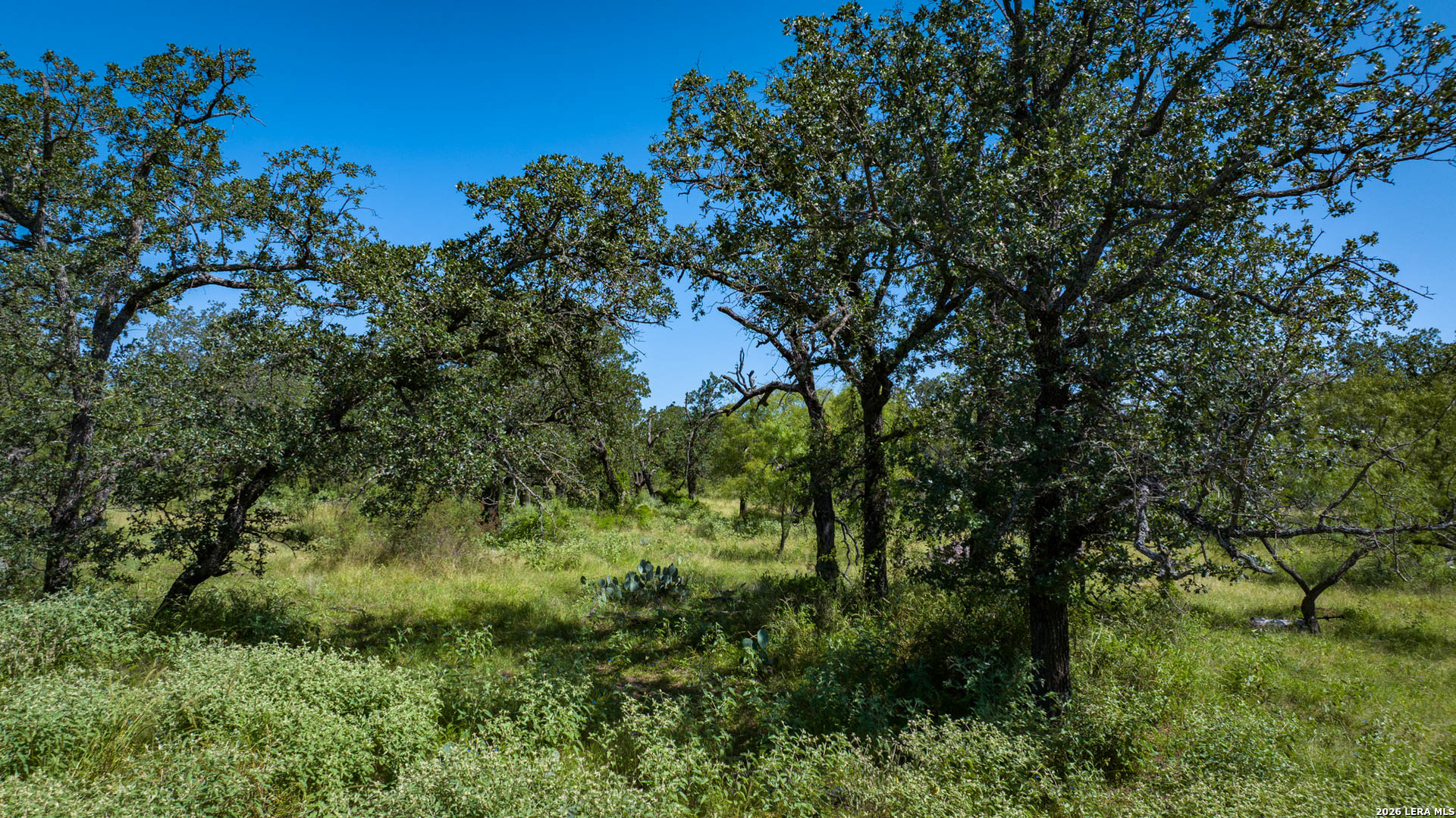 9978 Hay Spring Road Fredonia, TX 76842 - Photo 30 of 50