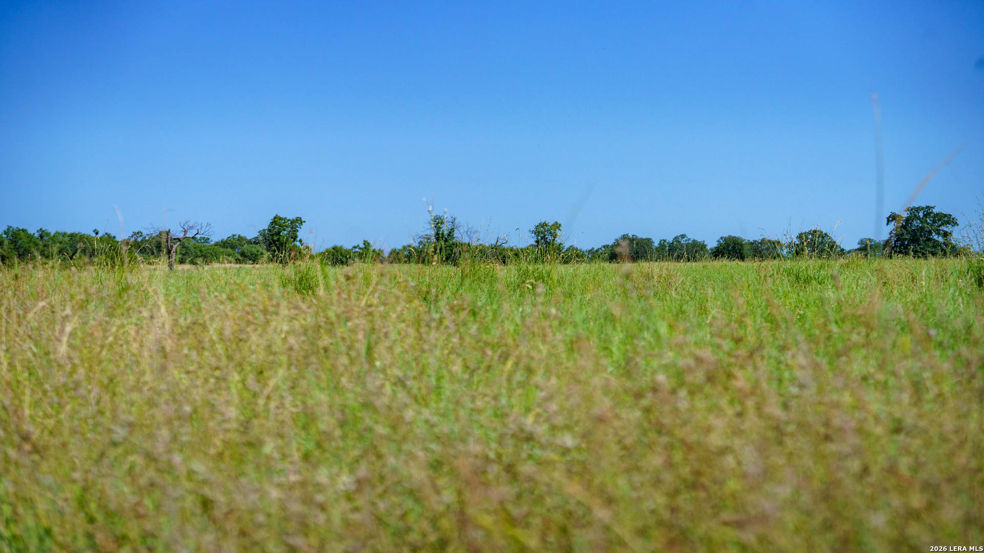 9978 Hay Spring Road Fredonia, TX 76842 - Photo 31 of 50