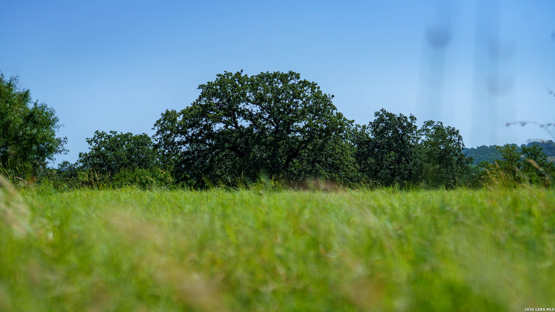 9978 Hay Spring Road Fredonia, TX 76842 - Photo 35 of 50