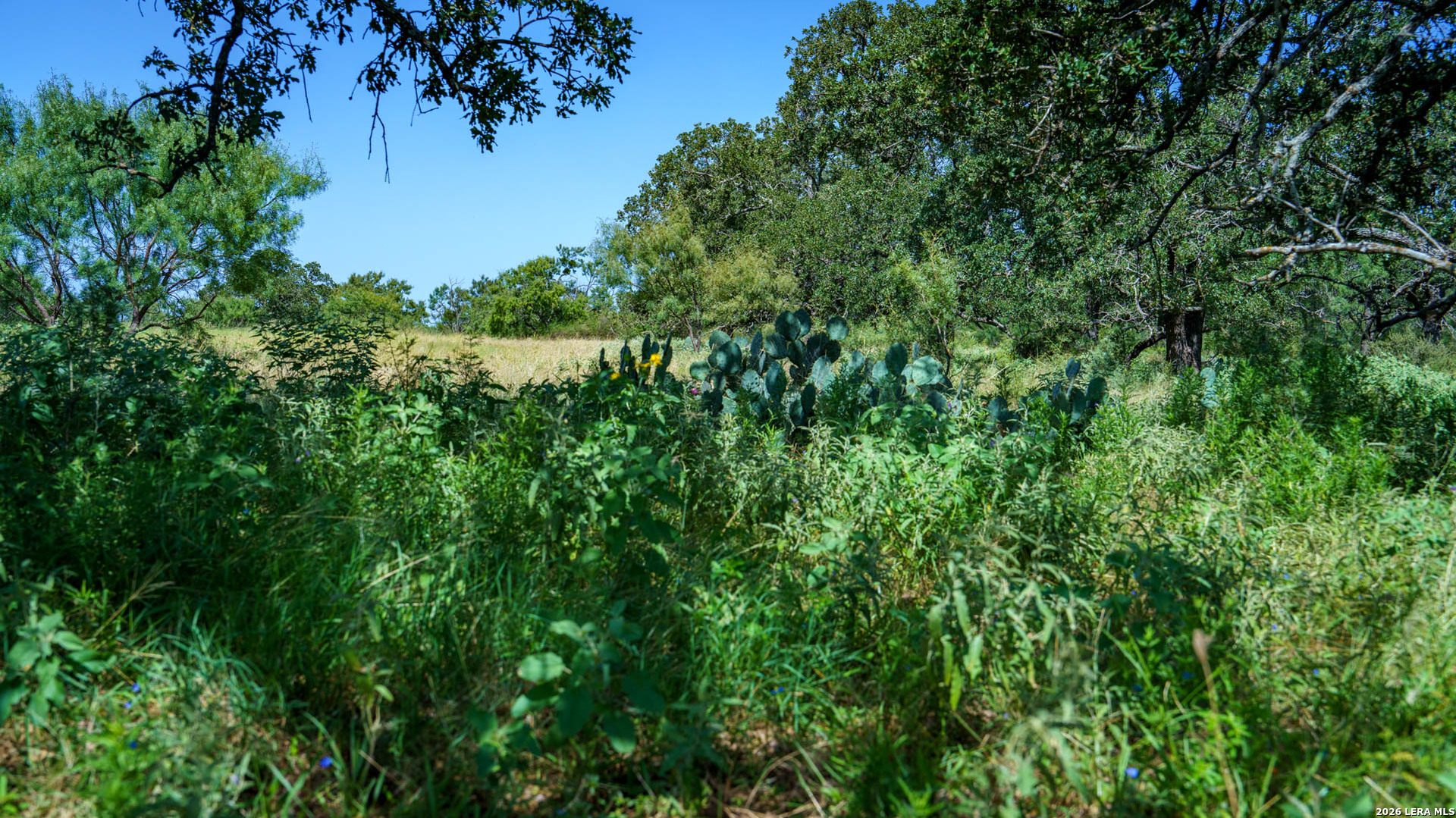 9978 Hay Spring Road Fredonia, TX 76842 - Photo 41 of 50