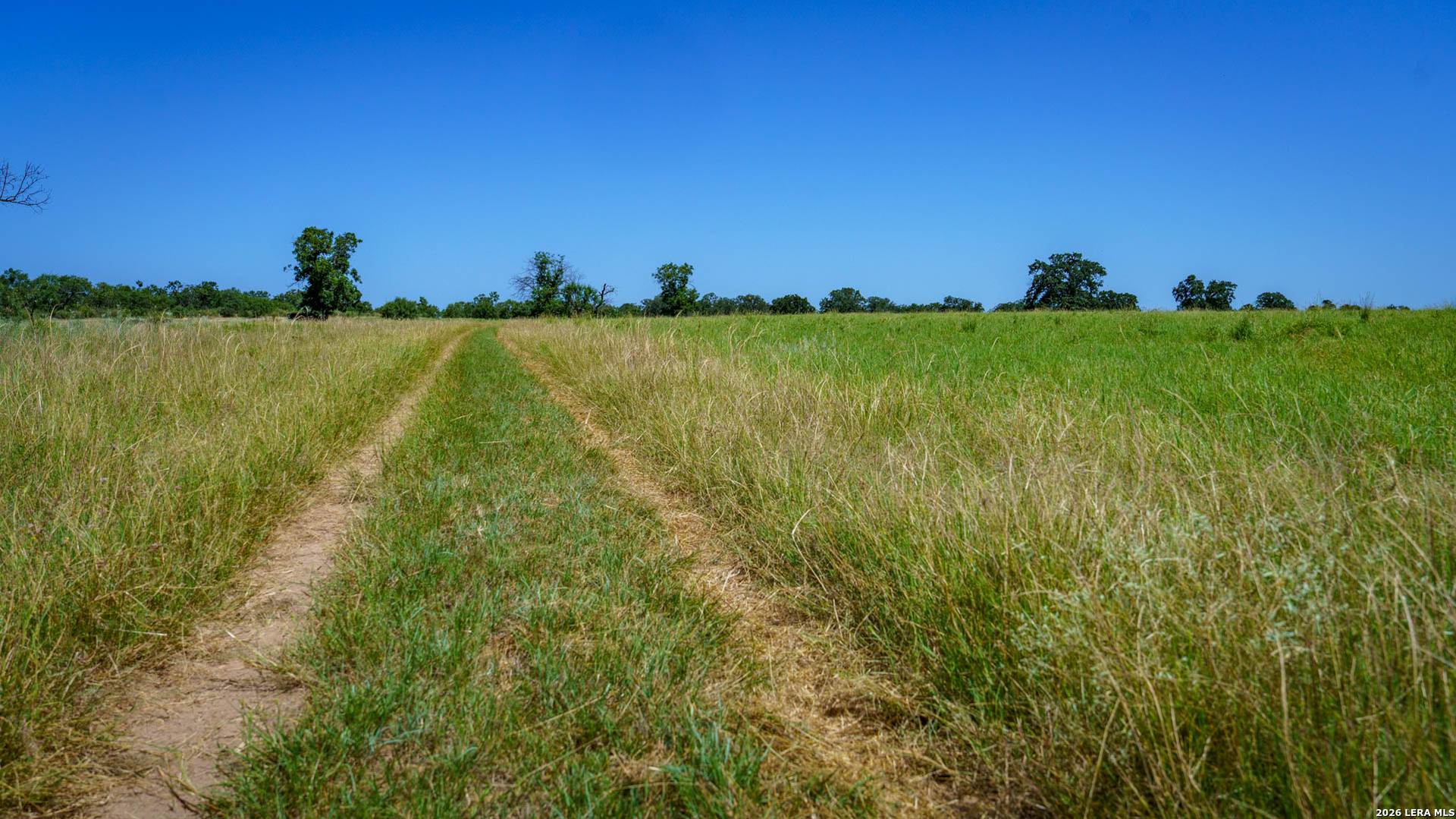 9978 Hay Spring Road Fredonia, TX 76842 - Photo 7 of 50