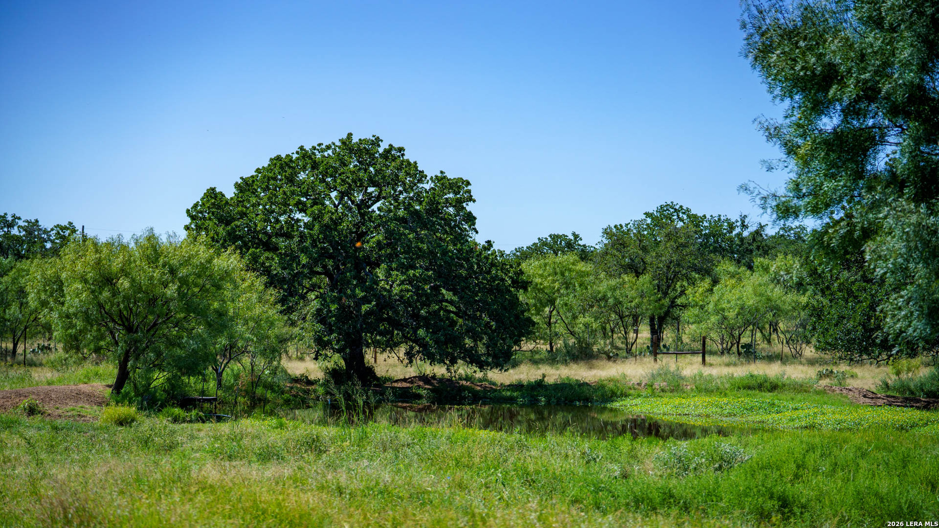 9978 Hay Spring Road Fredonia, TX 76842 - Photo 10 of 50