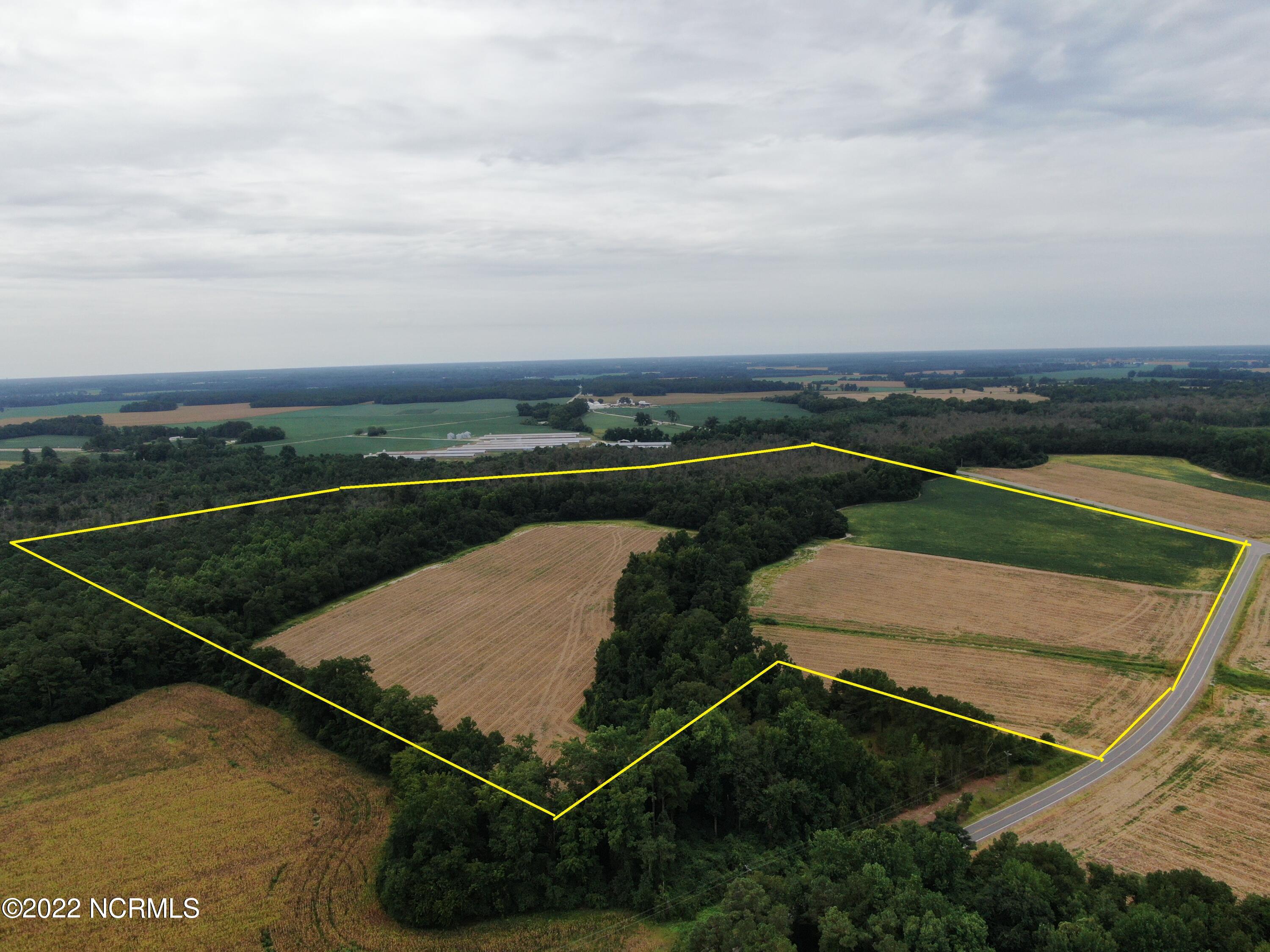 Tbd Mc Leod Road Rowland, NC 28383 - Photo 2 of 12 aerial with pl