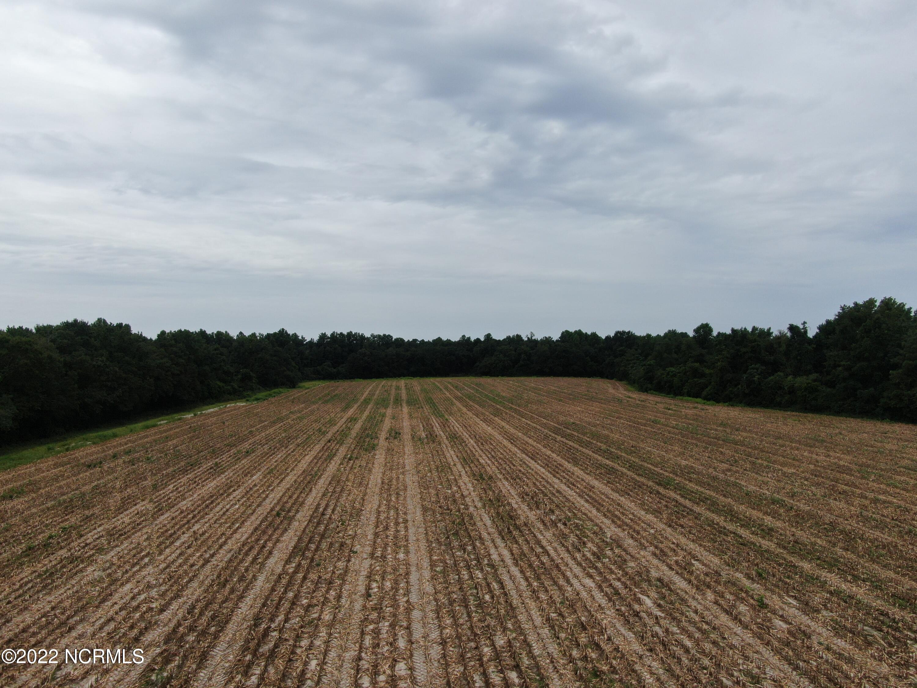 Tbd Mc Leod Road Rowland, NC 28383 - Photo 3 of 12 DJI_0739
