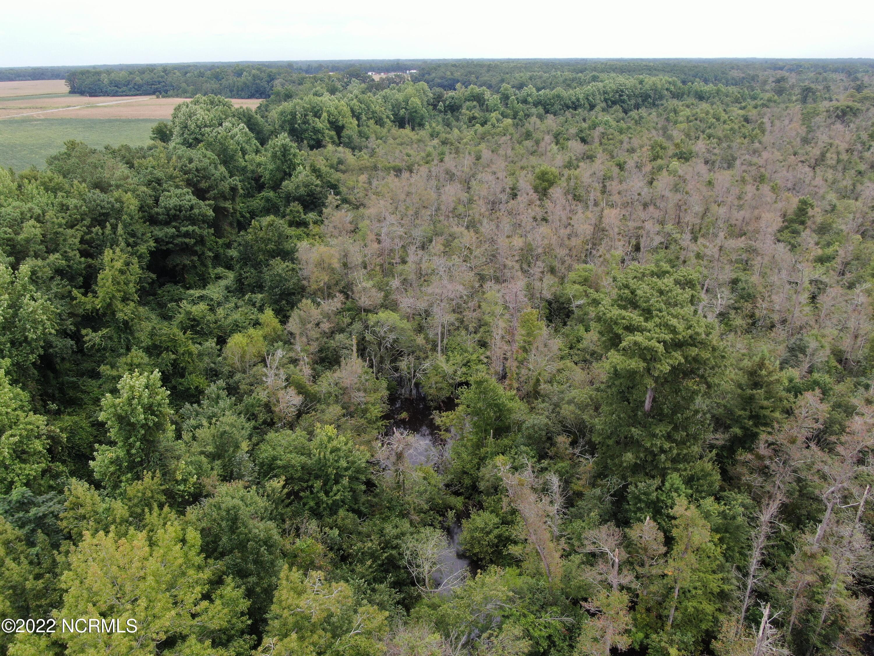 Tbd Mc Leod Road Rowland, NC 28383 - Photo 5 of 12 DJI_0762