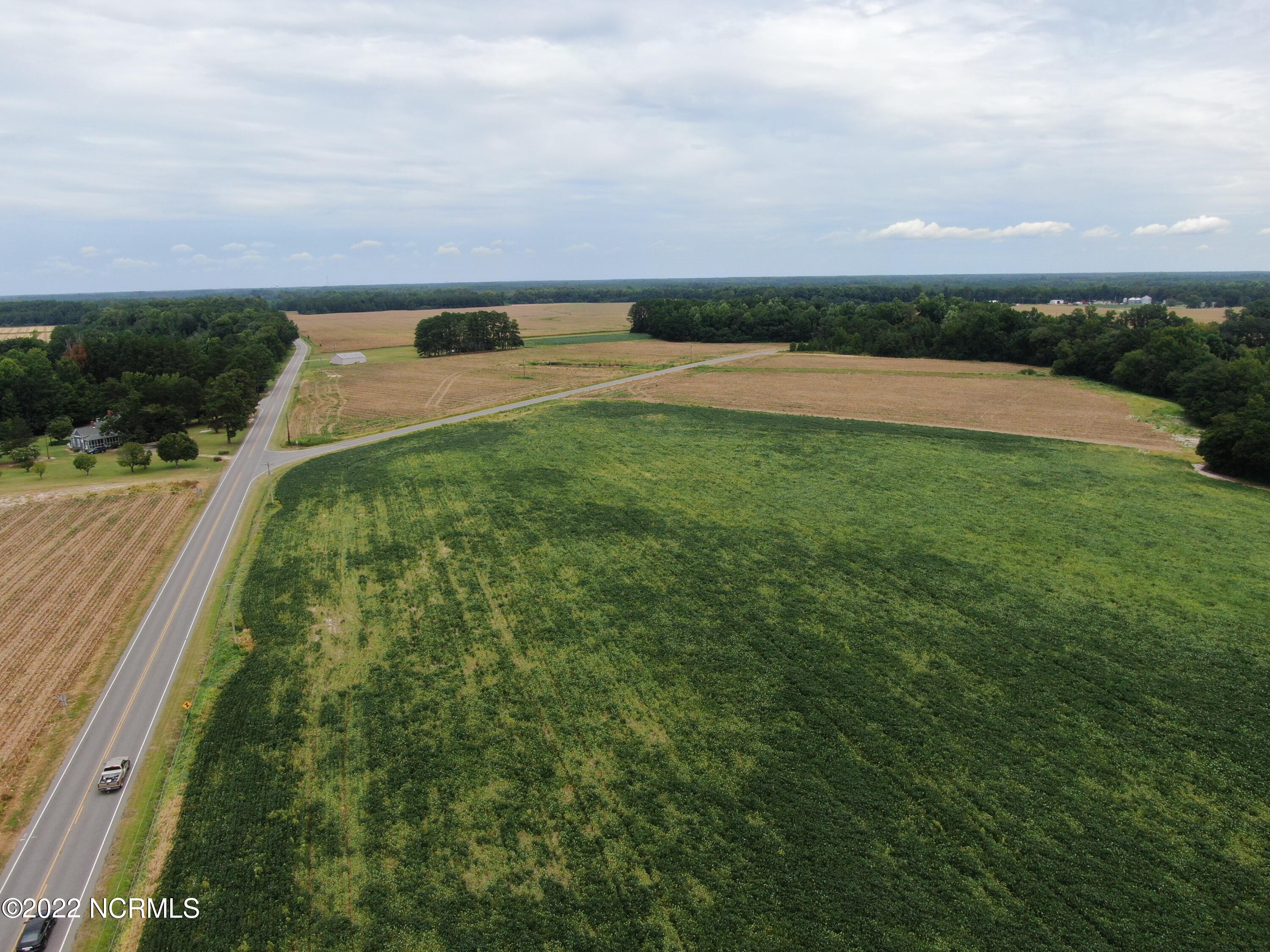 Tbd Mc Leod Road Rowland, NC 28383 - Photo 7 of 12 DJI_0774