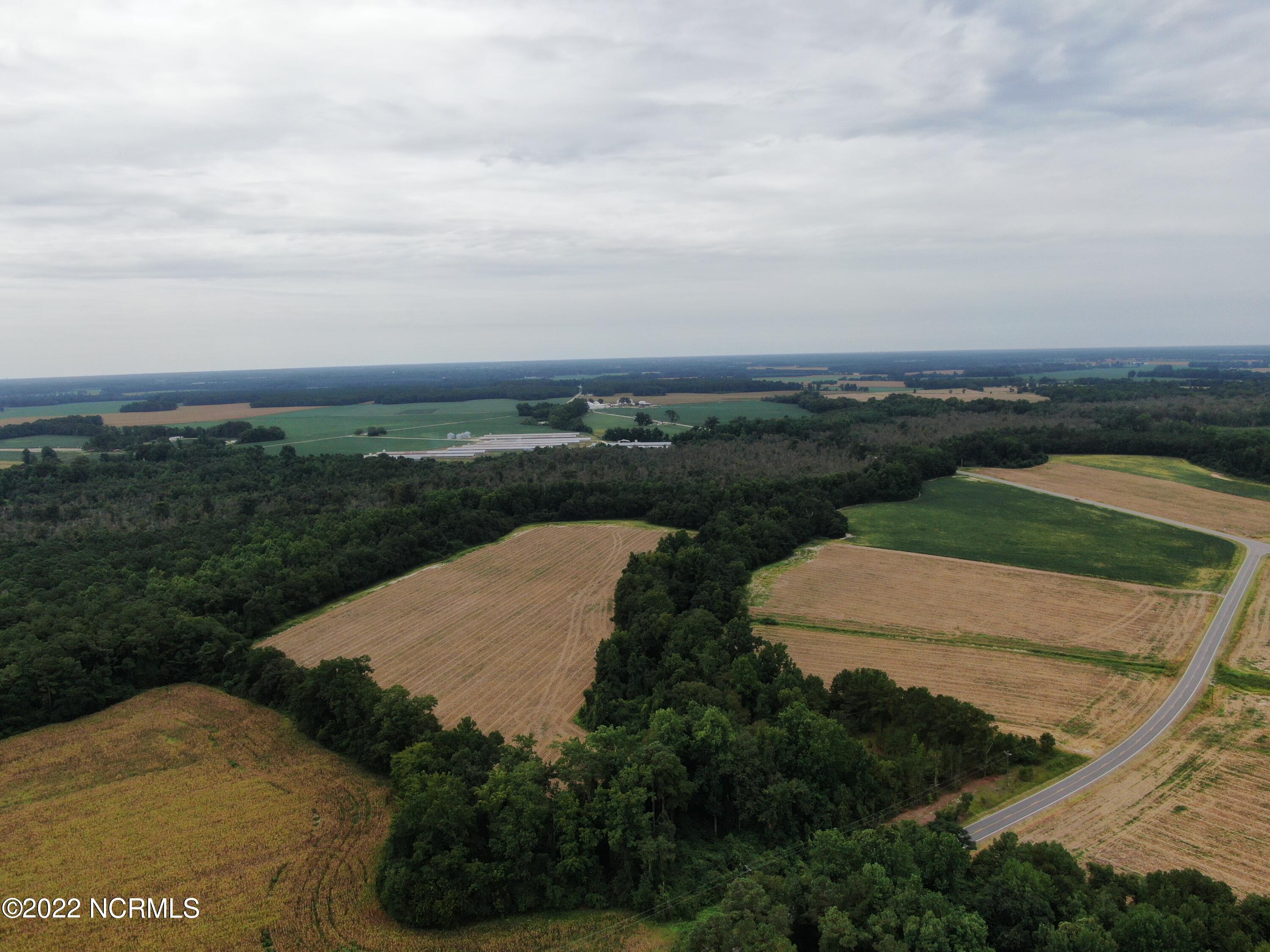 Tbd Mc Leod Road Rowland, NC 28383 - Photo 8 of 12 facebook 1
